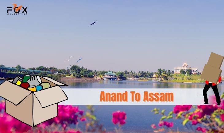 packers movers from Anand to Assam